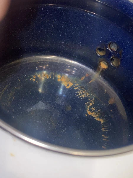 2-Vintage 2 QT Siam FujiWare Tea Kettle Thailand White Blue Enamel