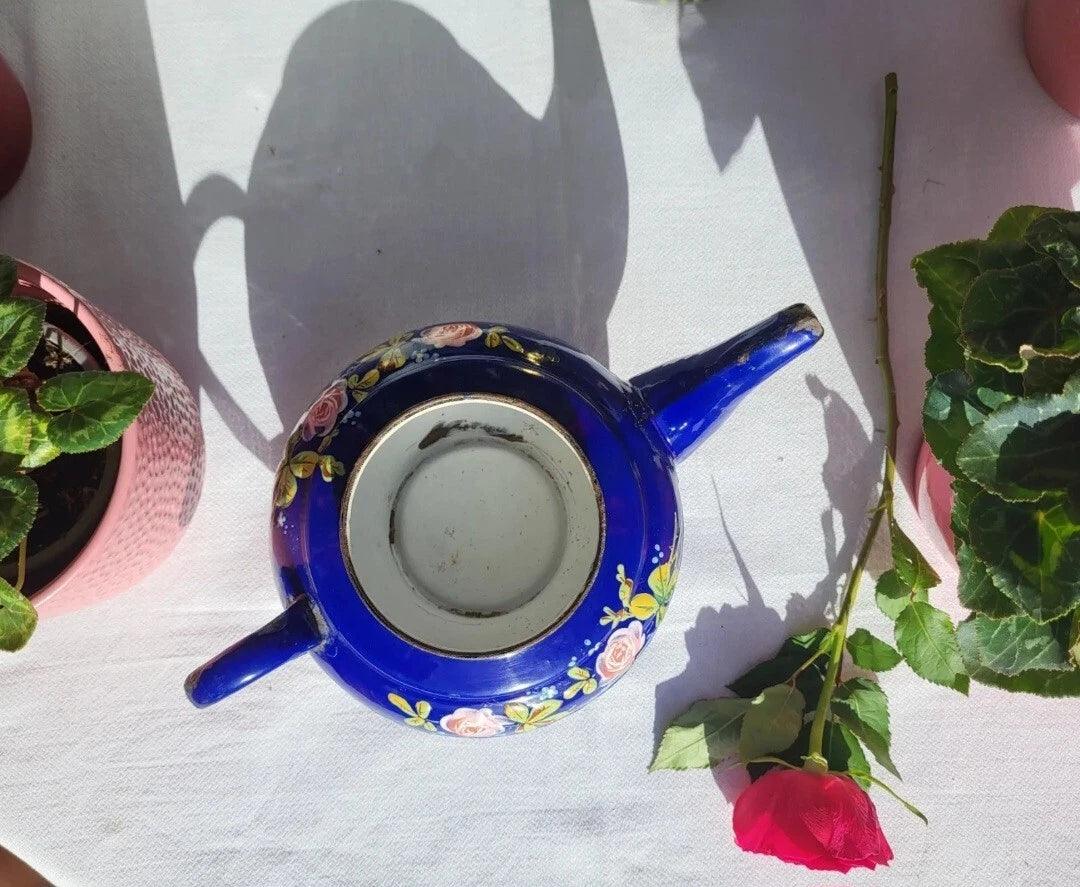 RARE antique enameled belgian Teapot Etoile PEN blue pink roses in relief 1920s