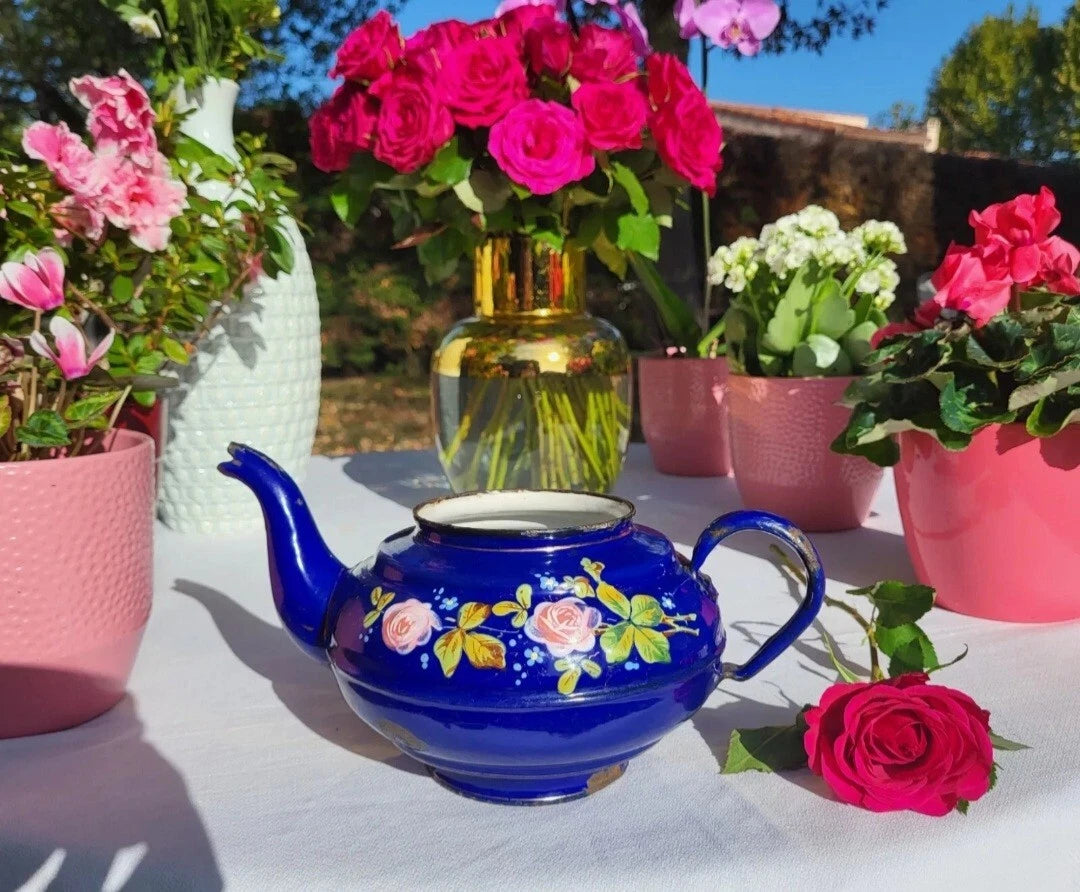 RARE antique enameled belgian Teapot Etoile PEN blue pink roses in relief 1920s
