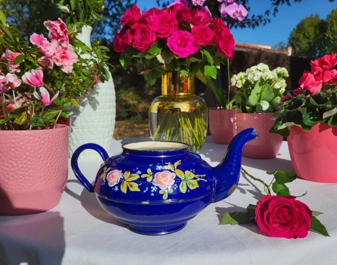 RARE antique enameled belgian Teapot Etoile PEN blue pink roses in relief 1920s