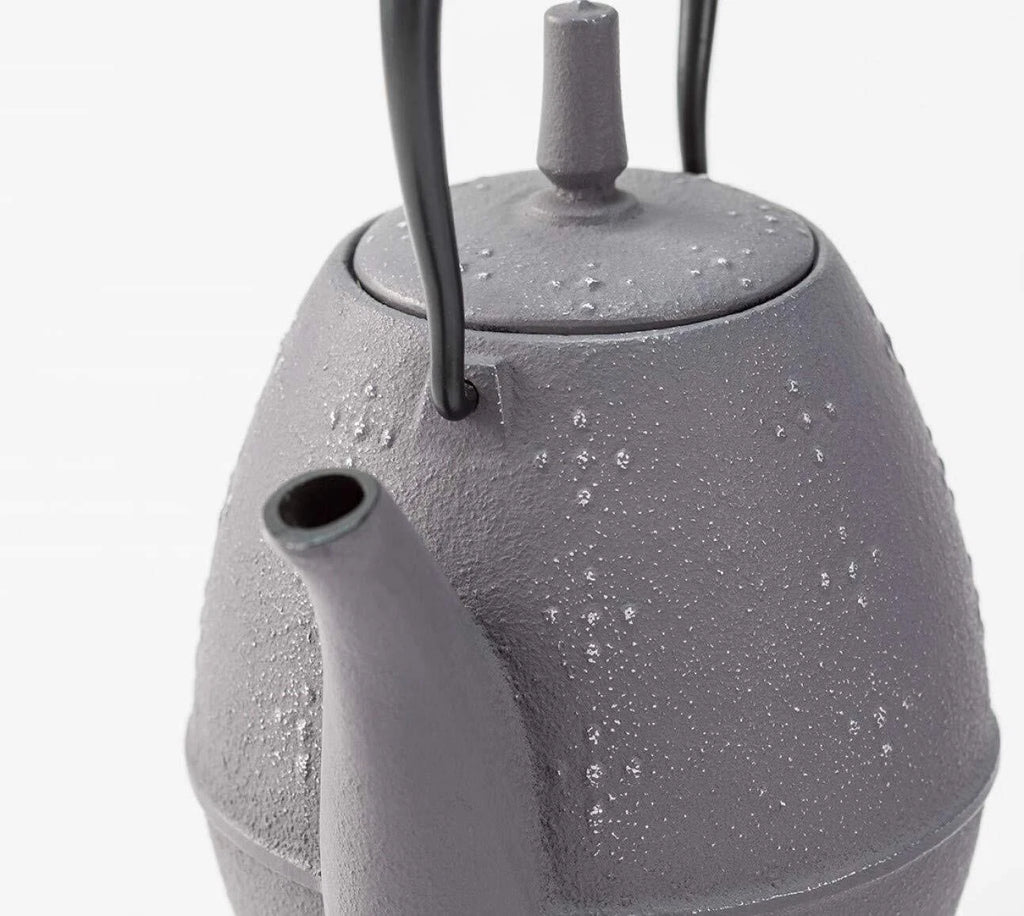 Iwachu Rice Teapot Nanbu Tekki Enamel Inside Silver Gray w/Box New Japan Import