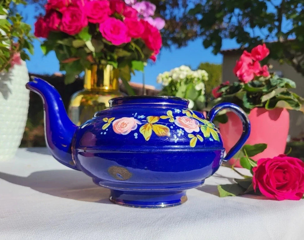 RARE antique enameled belgian Teapot Etoile PEN blue pink roses in relief 1920s