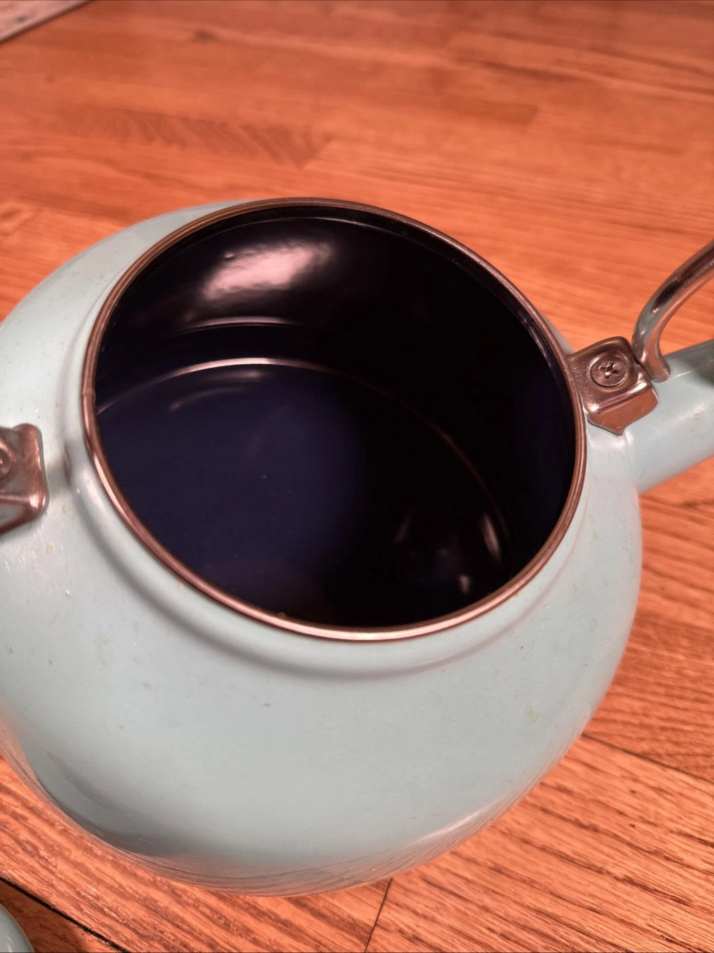 Chantal Aqua Premium Enamel on Steel Stovetop Whistling Teakettle