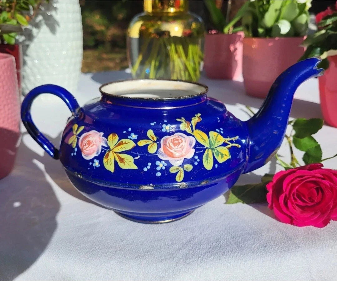 RARE antique enameled belgian Teapot Etoile PEN blue pink roses in relief 1920s