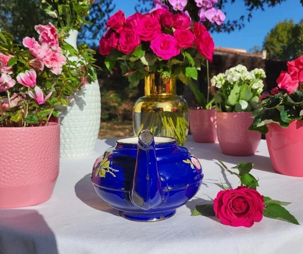 RARE antique enameled belgian Teapot Etoile PEN blue pink roses in relief 1920s