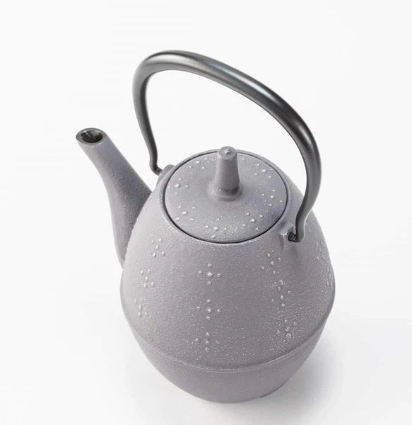 Iwachu Rice Teapot Nanbu Tekki Enamel Inside Silver Gray w/Box New Japan Import