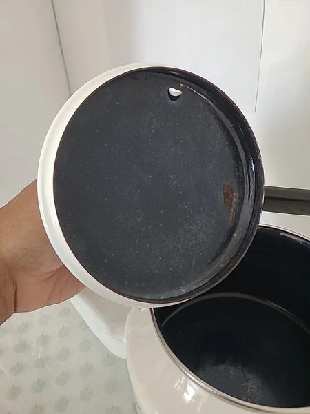 VINTAGE BERGGREN SWEDISH ENAMELWARE TEAPOT TEA KETTLE ROSEMALING FOLK ART