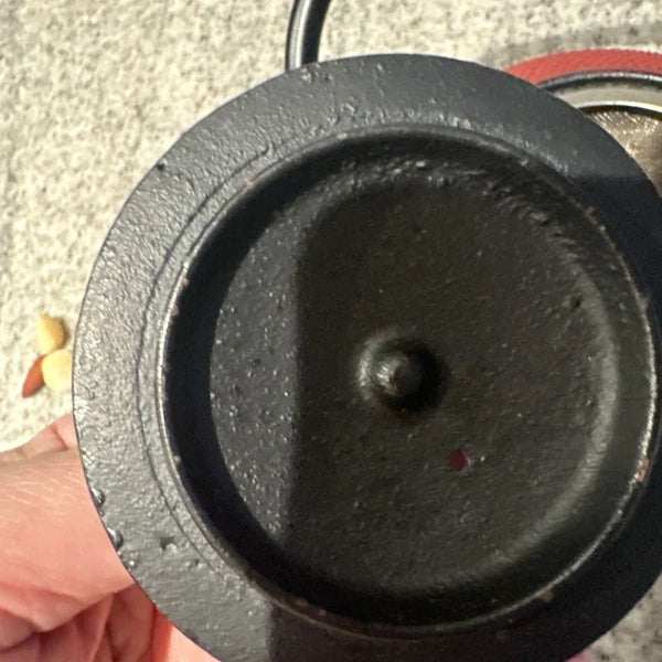 Japanese Tetsukyusu Cast Iron Teapot Hobnail Design-Red with Black Enamel 600+ml