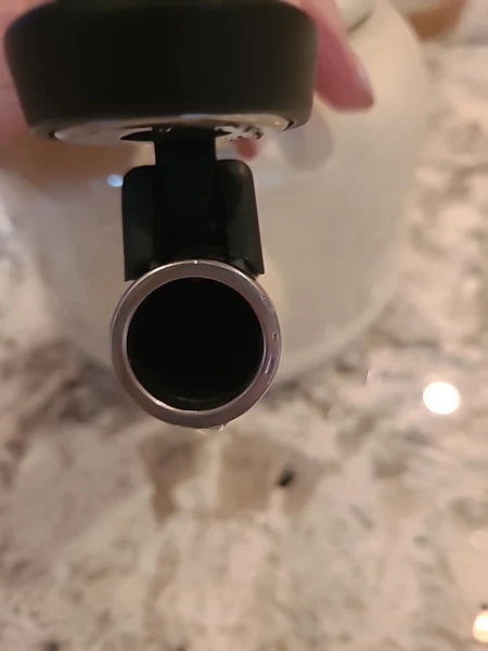 Le Creuset 2.2 Quart 2 Liter Whistling Tea Kettle White Enameled Steel