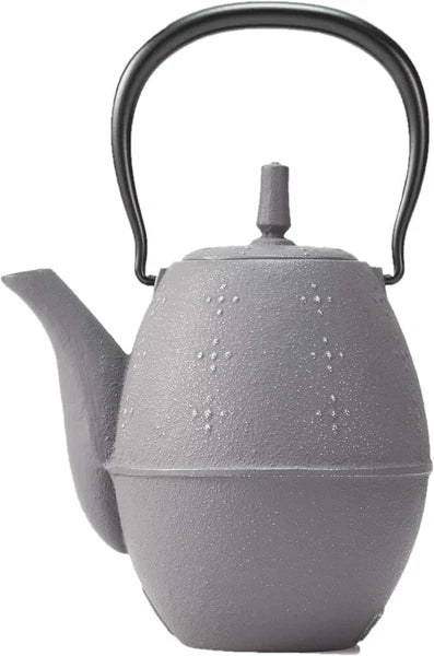 Iwachu Rice Teapot Nanbu Tekki Enamel Inside Silver Gray w/Box New Japan Import