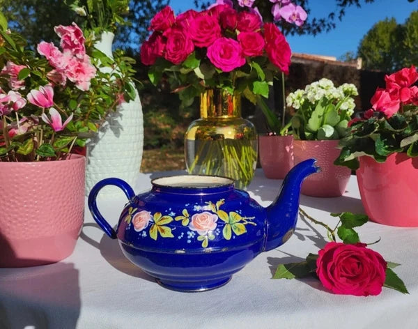 RARE antique enameled belgian Teapot Etoile PEN blue pink roses in relief 1920s