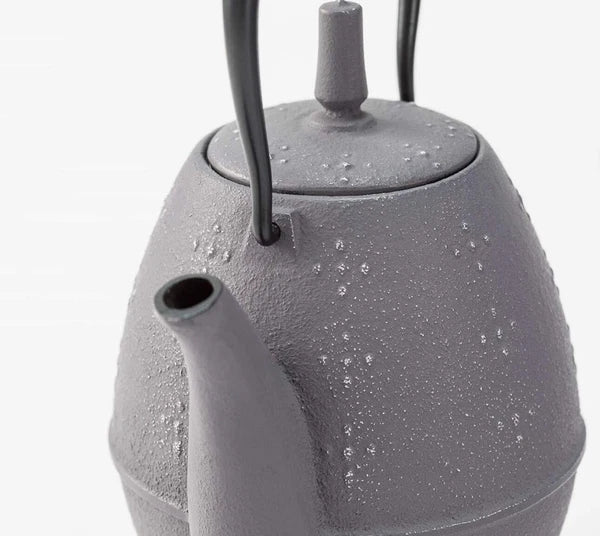 Iwachu Rice Teapot Nanbu Tekki Enamel Inside Silver Gray w/Box New Japan Import