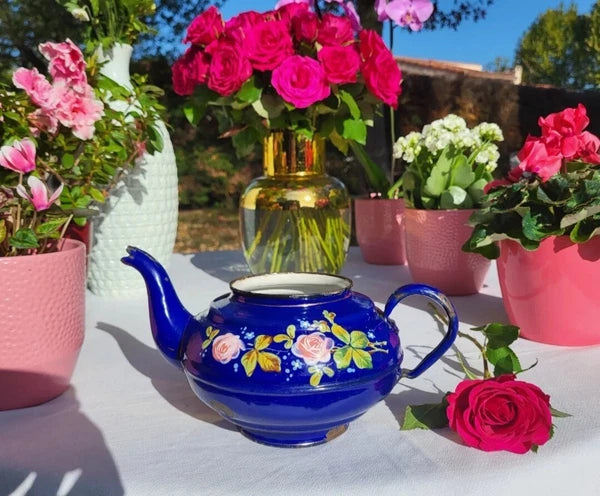 RARE antique enameled belgian Teapot Etoile PEN blue pink roses in relief 1920s
