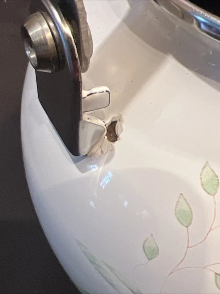 Lenox Butterfly Meadow Floral Enamel Tea Pot Teapot Kettle with Minor Issues