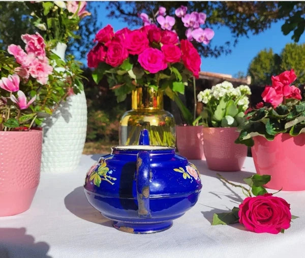 RARE antique enameled belgian Teapot Etoile PEN blue pink roses in relief 1920s